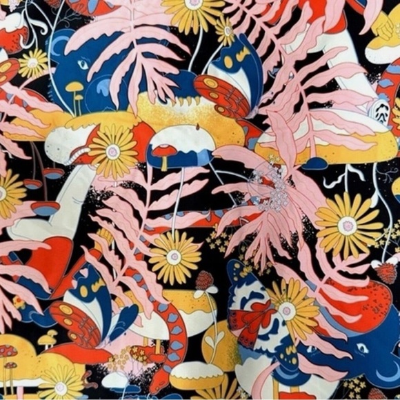 THE NORTH FACE Hooded Jacket by Artist Naomi Otsu Size Large - Picture 5 of 8